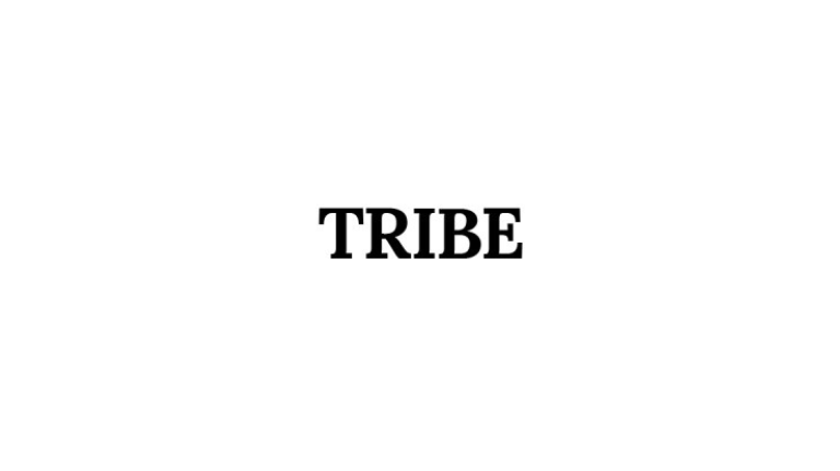 Tribe Capital