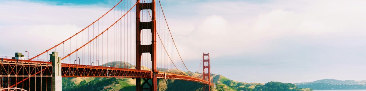 Thiel Fellowship Startup Founders Innovators