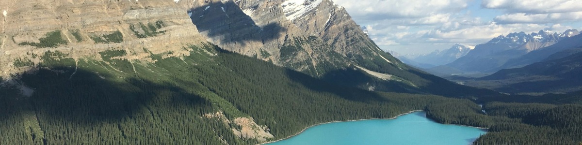Startup Competition Canada Startup Competition Canada