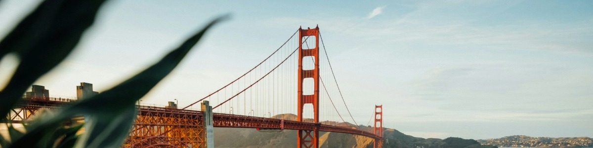 Startup Funding Grant Startups