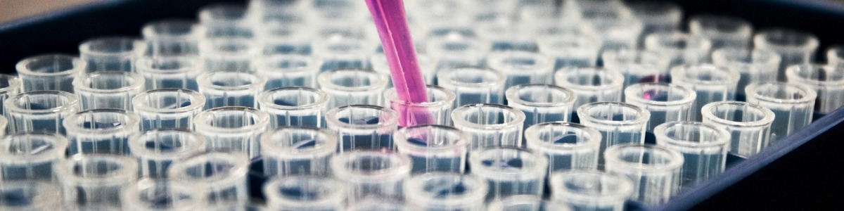 Startup Funding Healthcare