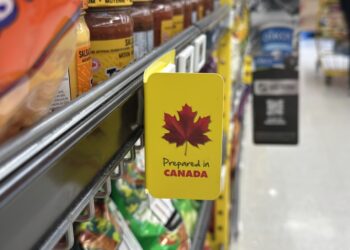 Canadian Startups